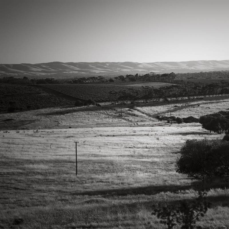 mcLaren Vale 3