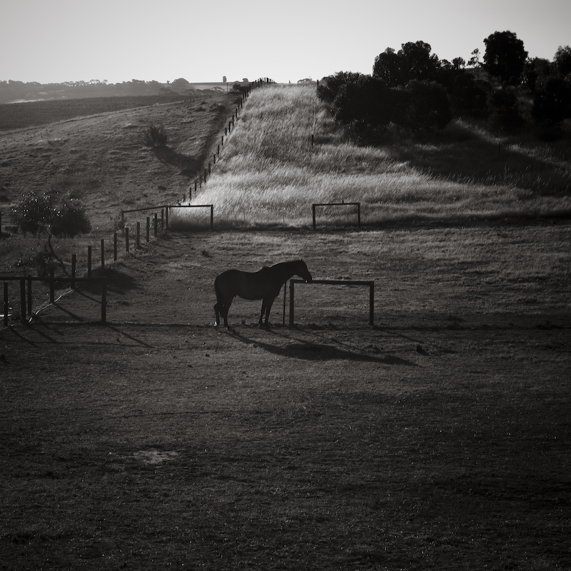 McLaren Vale 4